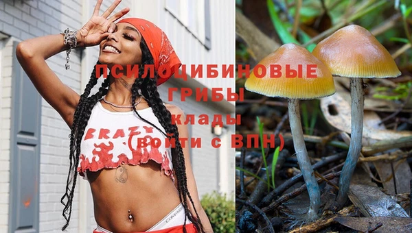 дурь Арсеньев