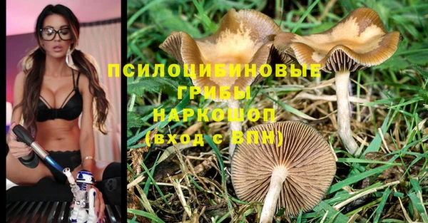 ешки Армянск